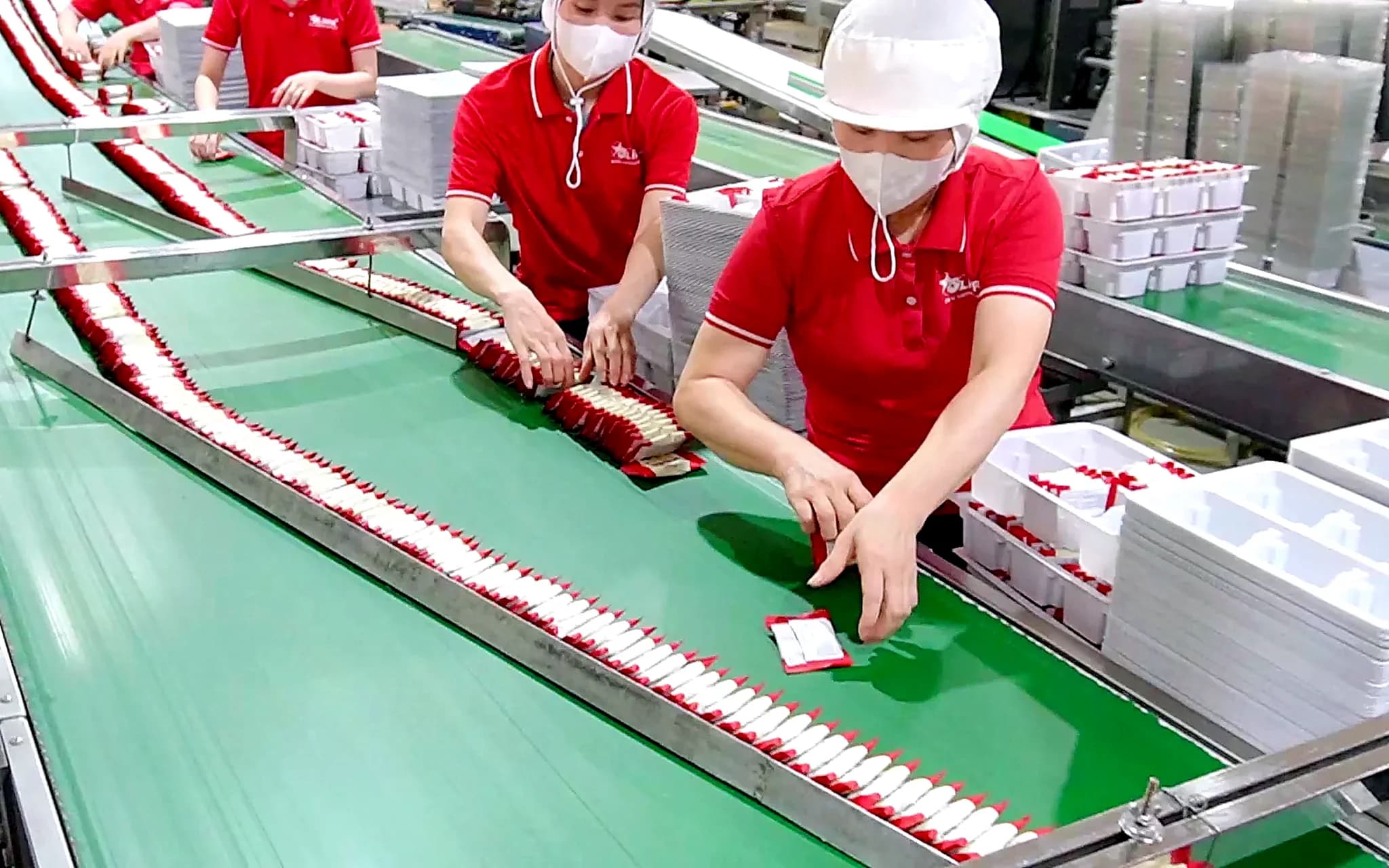 Workers packing biscuit packs on the conveyor
