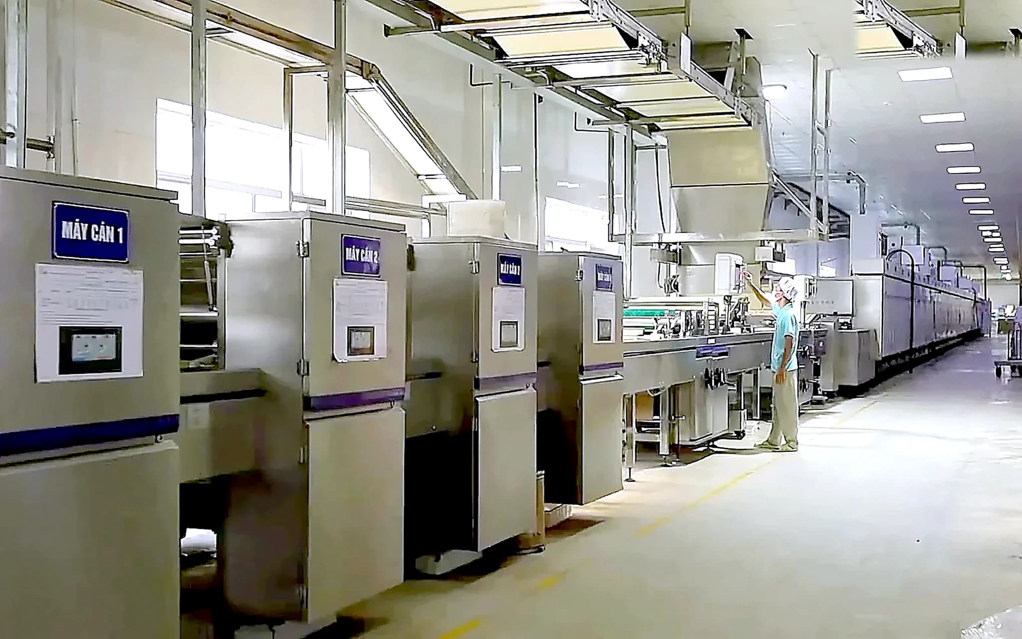 Dough sheeters and the oven line at the LIBRA factory